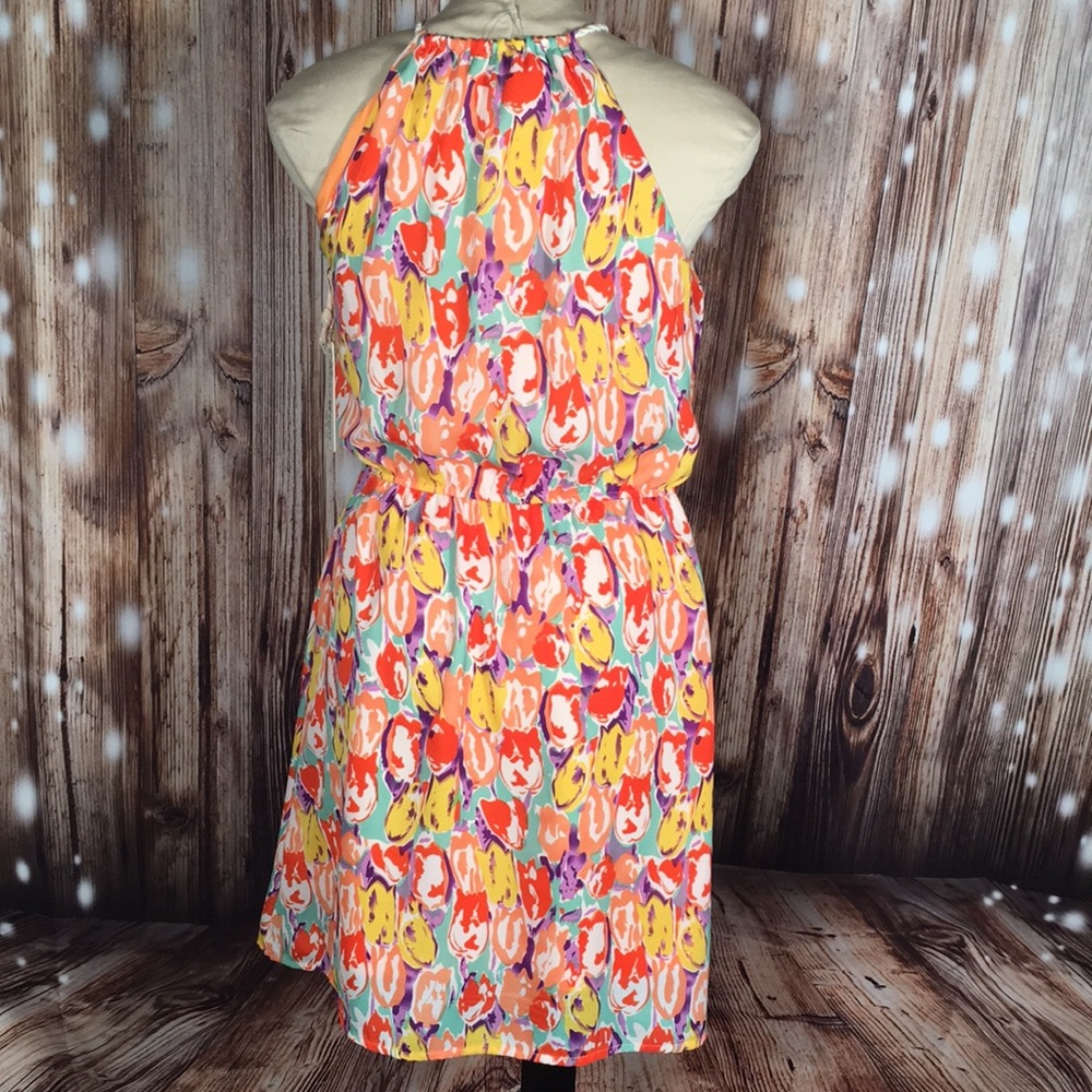 NWT Altar’d State Sleeveless Floral Dress Medium - Picture 2 of 3